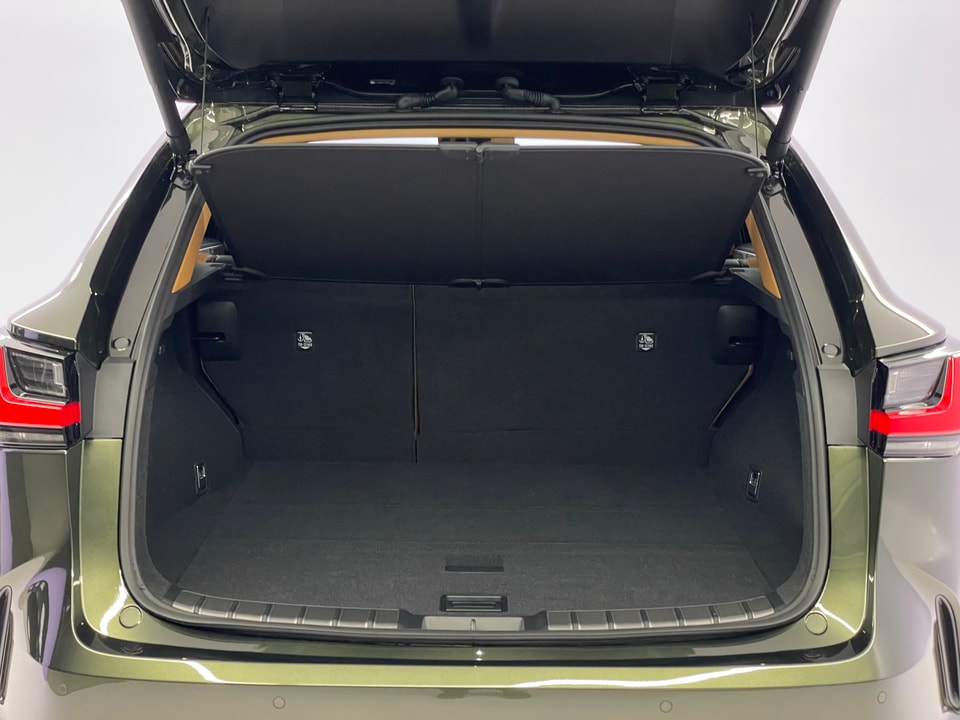 NX 450h+ Excellence E-FOUR Plug-in-Hybrid