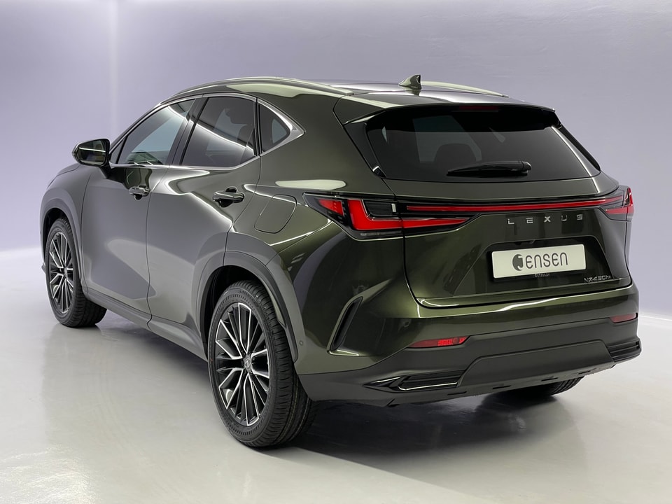 NX 450h+ Excellence E-FOUR Plug-in-Hybrid