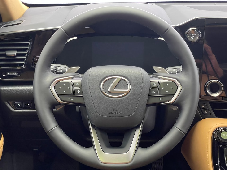 NX 450h+ Excellence E-FOUR Plug-in-Hybrid