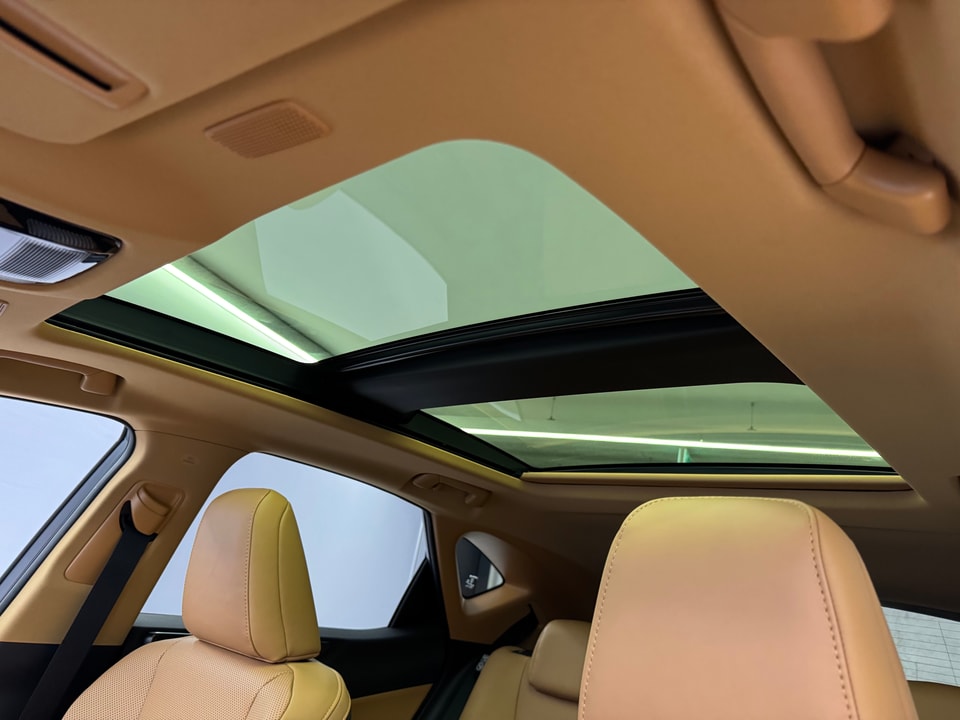 NX 450h+ Excellence E-FOUR Plug-in-Hybrid