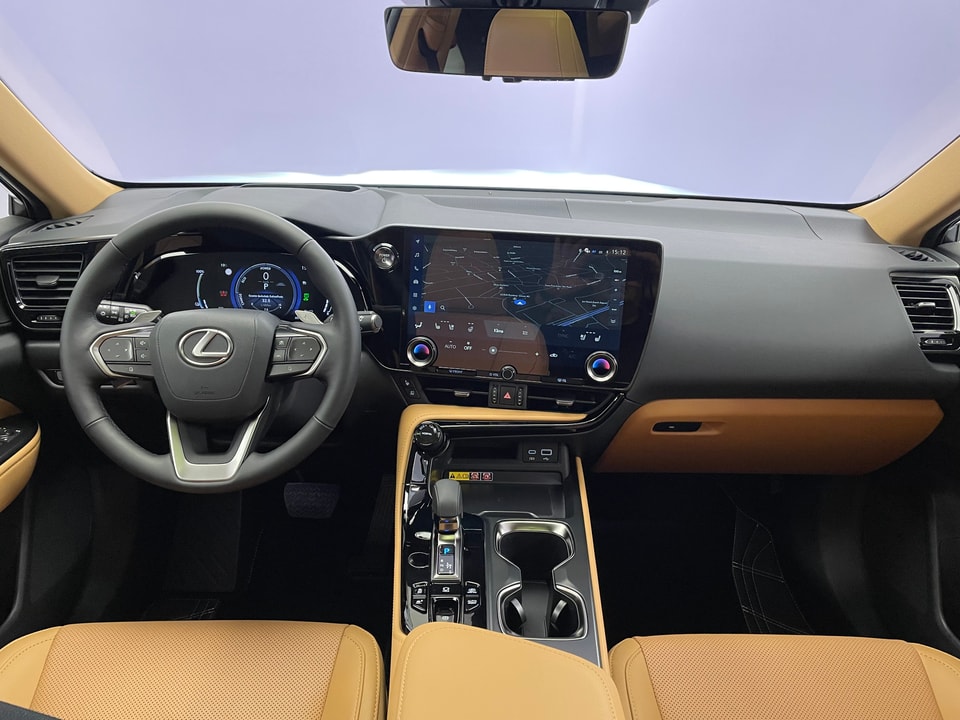 NX 450h+ Excellence E-FOUR Plug-in-Hybrid