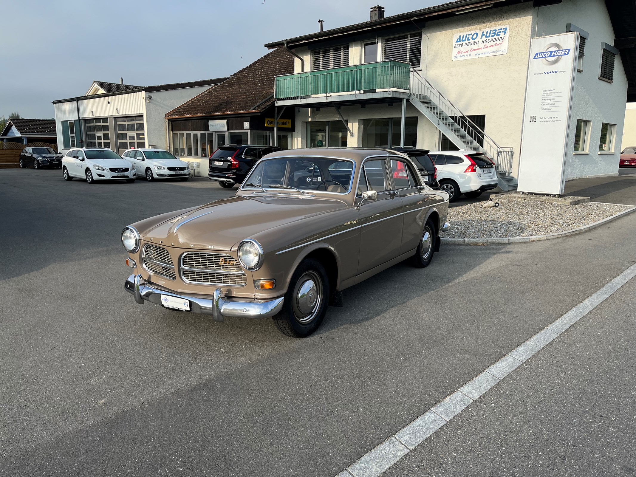 VOLVO AMAZON  (Limousine)