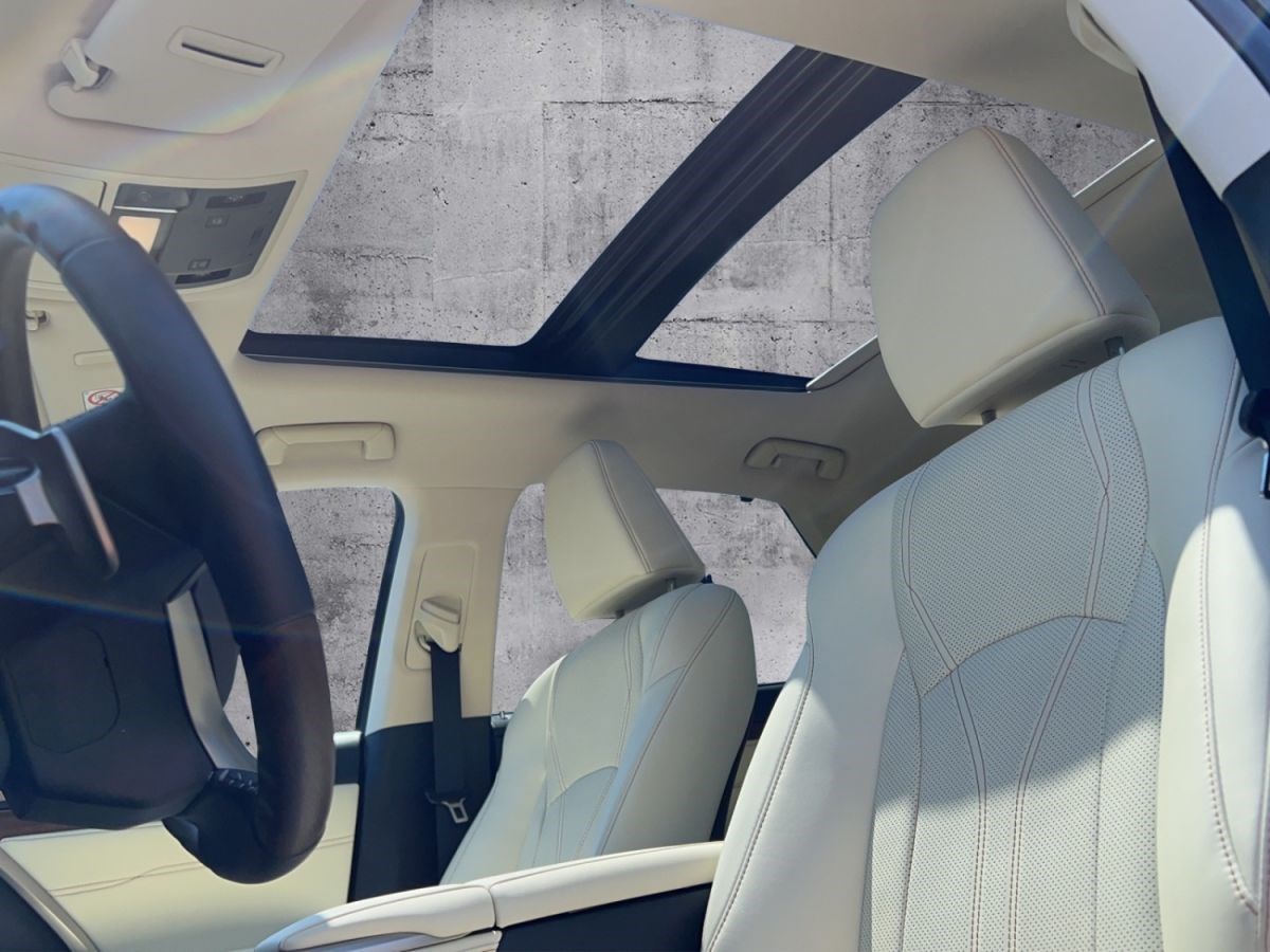 LEXUS RX 450h excellence AWD-image-10