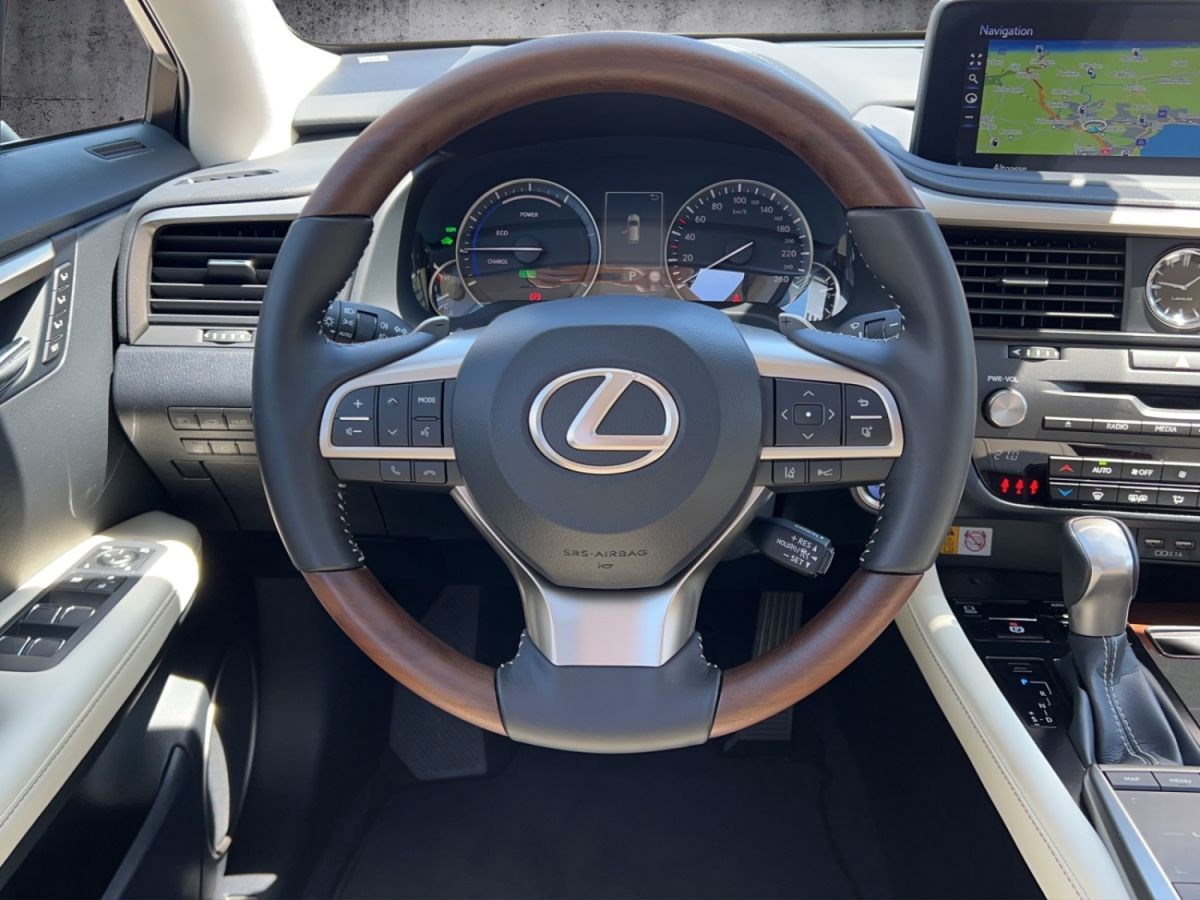 LEXUS RX 450h excellence AWD-image-13