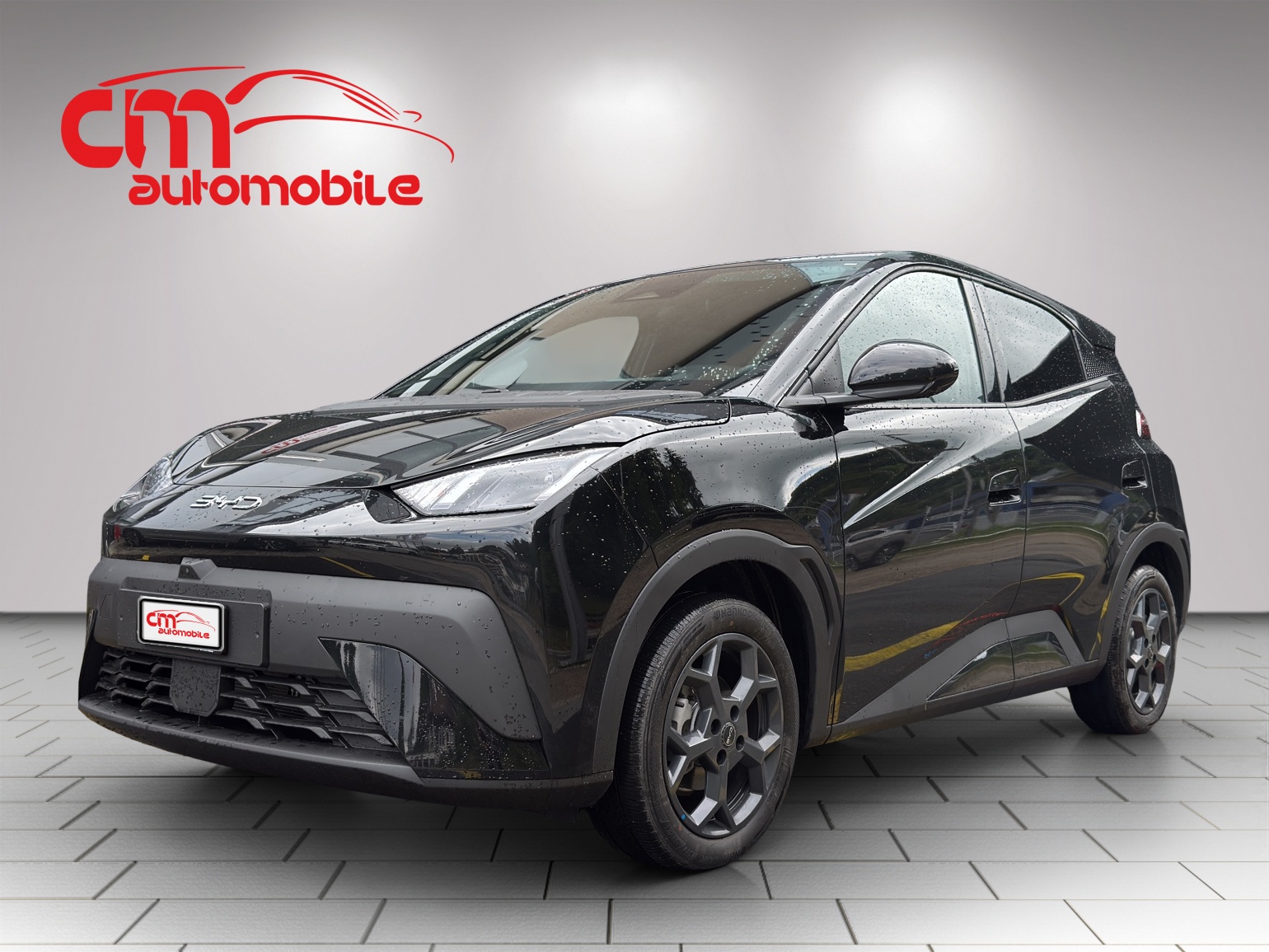 BYD Dolphin Surf 43 kWh Comfort