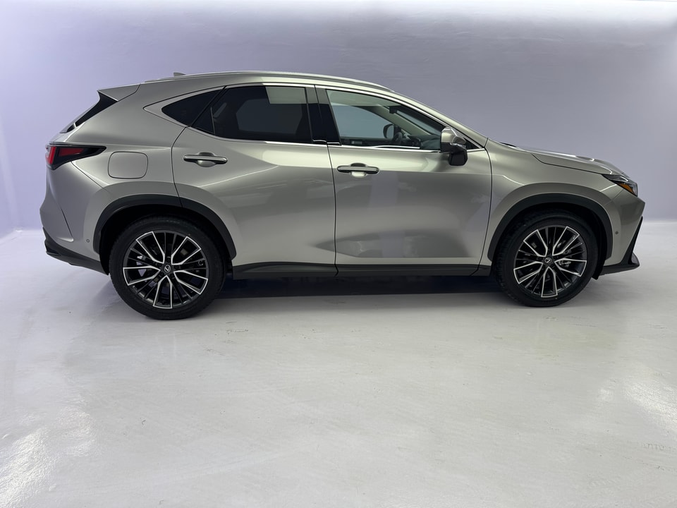 NX 450h+ Excellence E-FOUR Plug-in-Hybrid