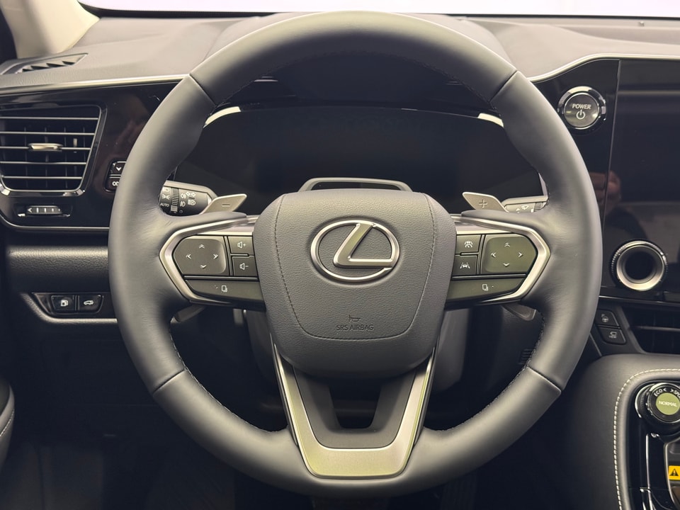 NX 450h+ Excellence E-FOUR Plug-in-Hybrid