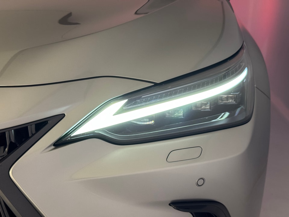 NX 450h+ Excellence E-FOUR Plug-in-Hybrid