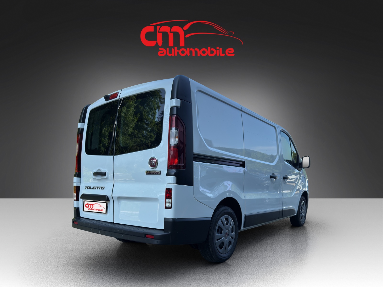 FIAT Talento 29 2.0 Eco L1H1 Swiss-showroom-element-2