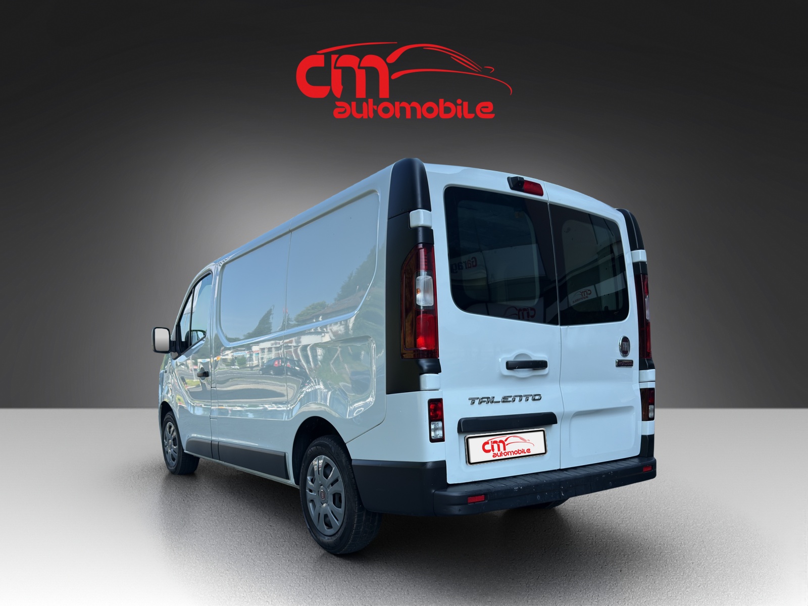 FIAT Talento 29 2.0 Eco L1H1 Swiss-showroom-element-1