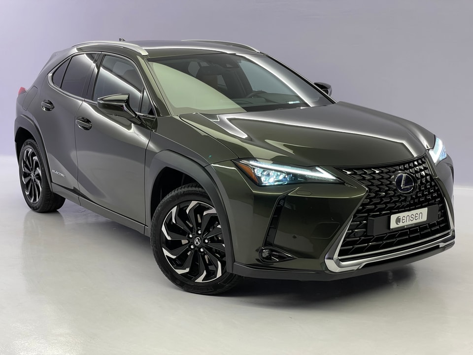 UX 300e Excellence Electric