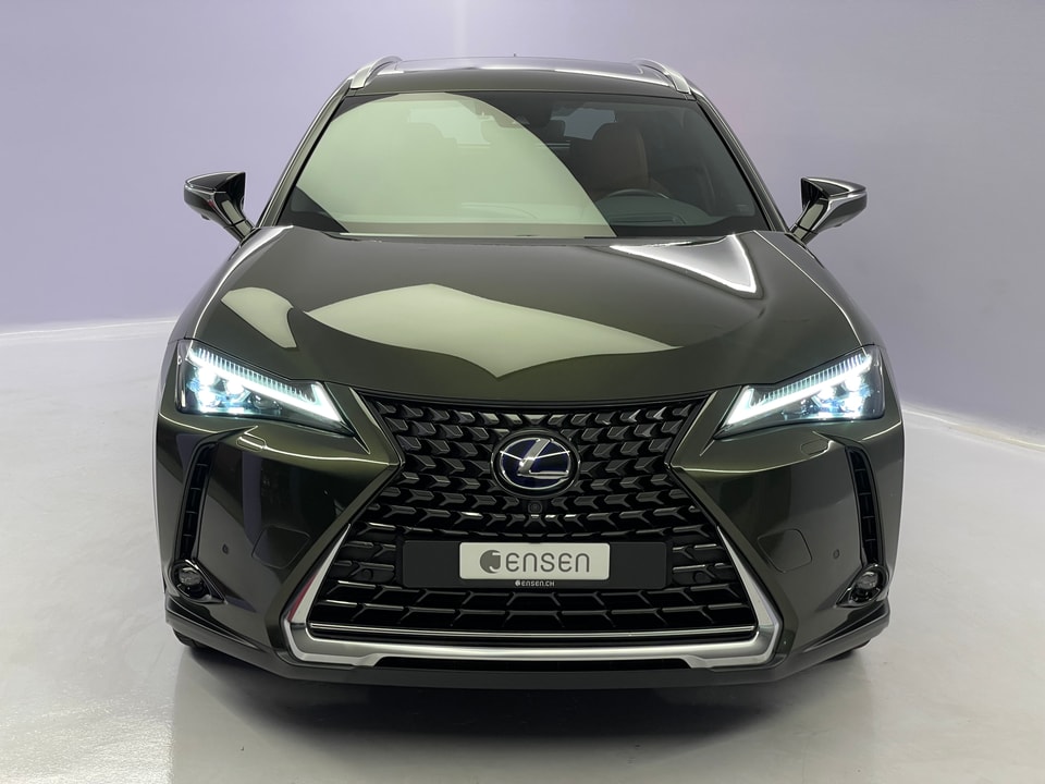 UX 300e Excellence Electric