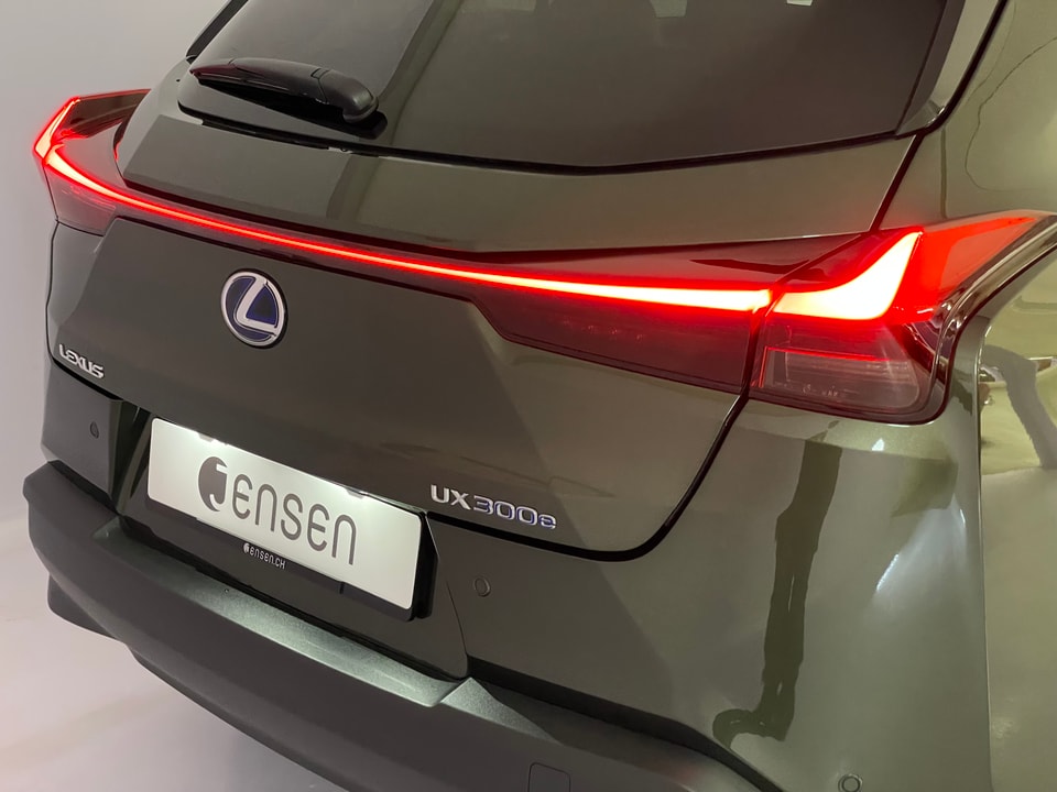 UX 300e Excellence Electric