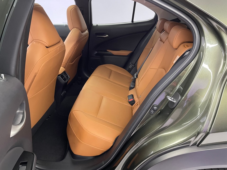 UX 300e Excellence Electric