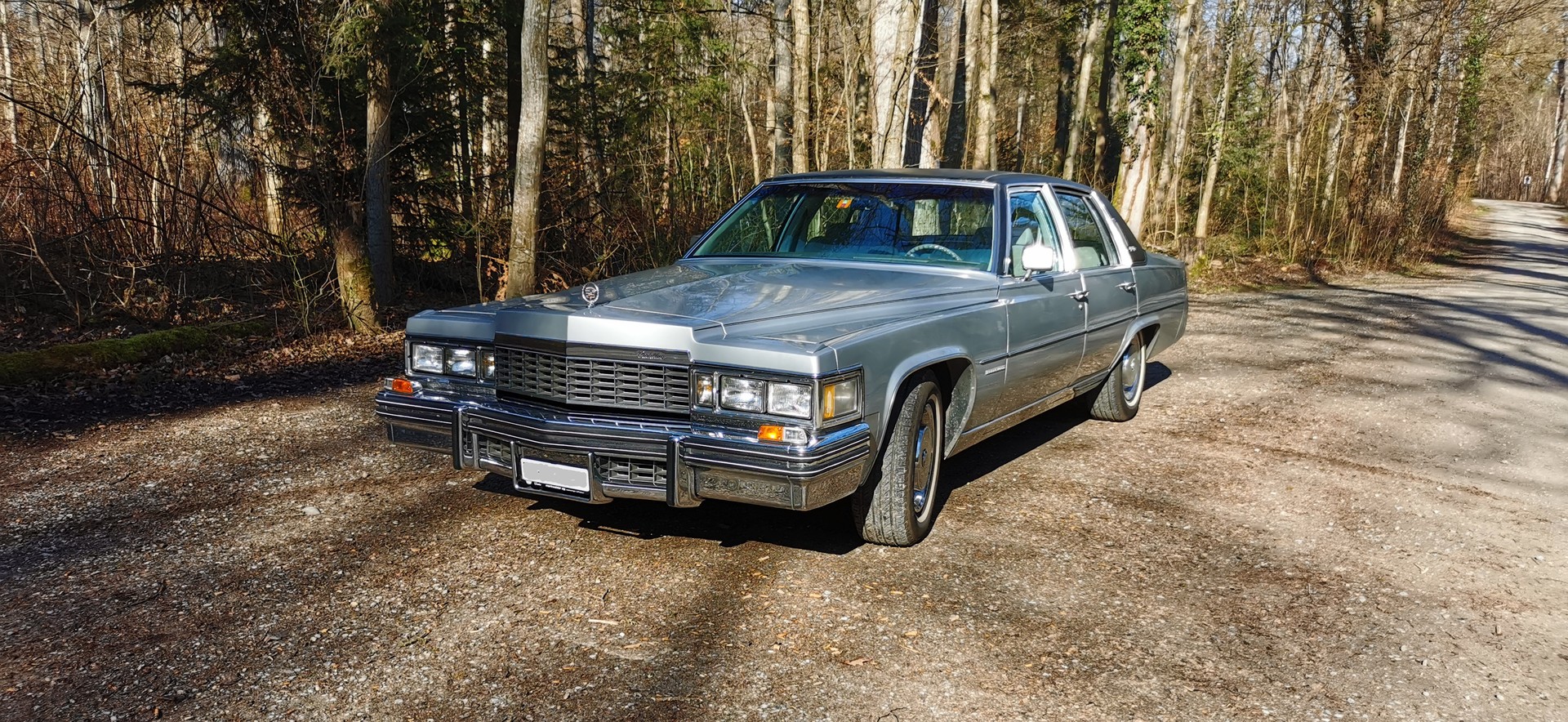CADILLAC FLEETWOOD
