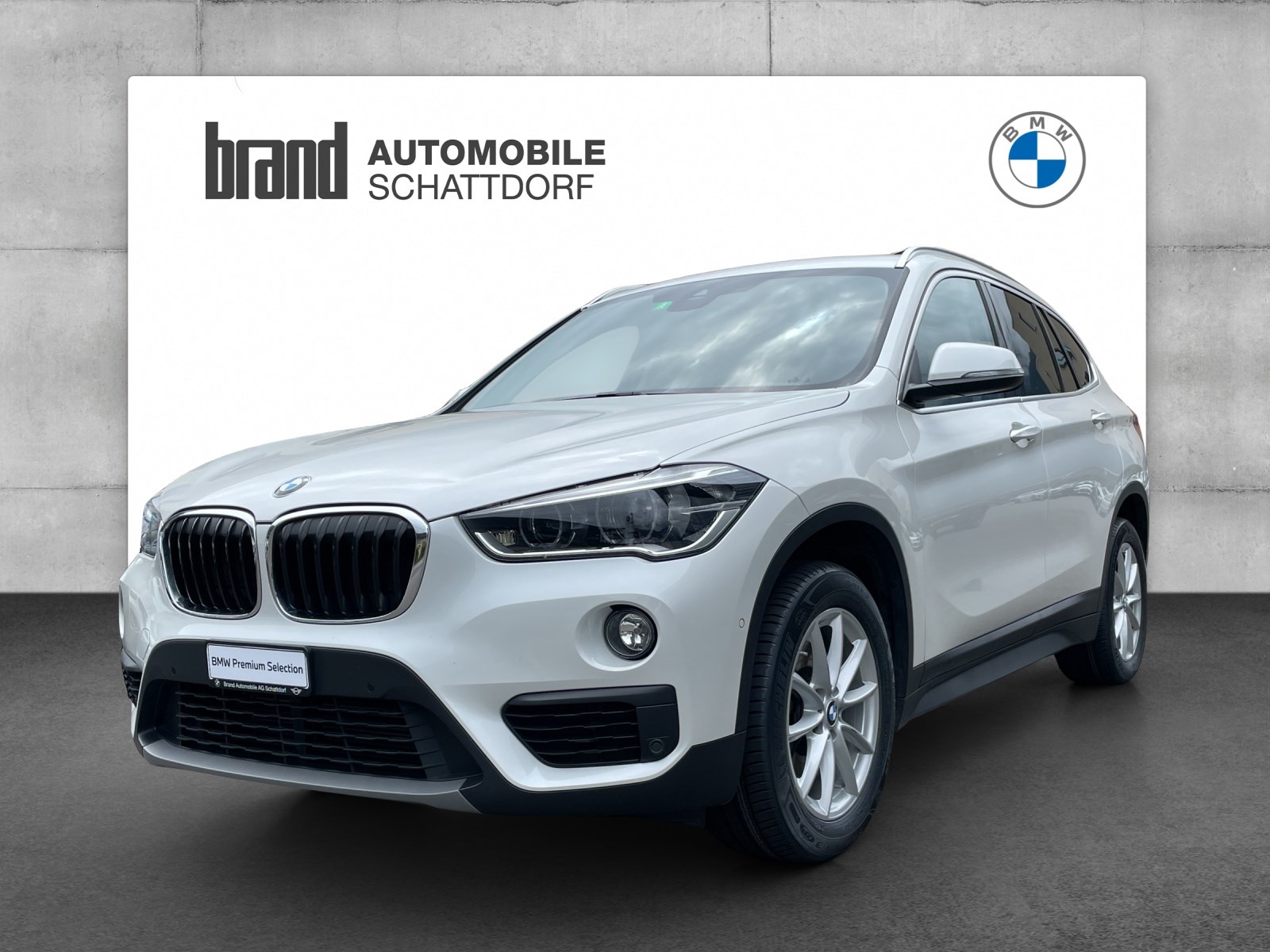 BMW X1 20d xDrive SAG (SUV / Gelndewagen)