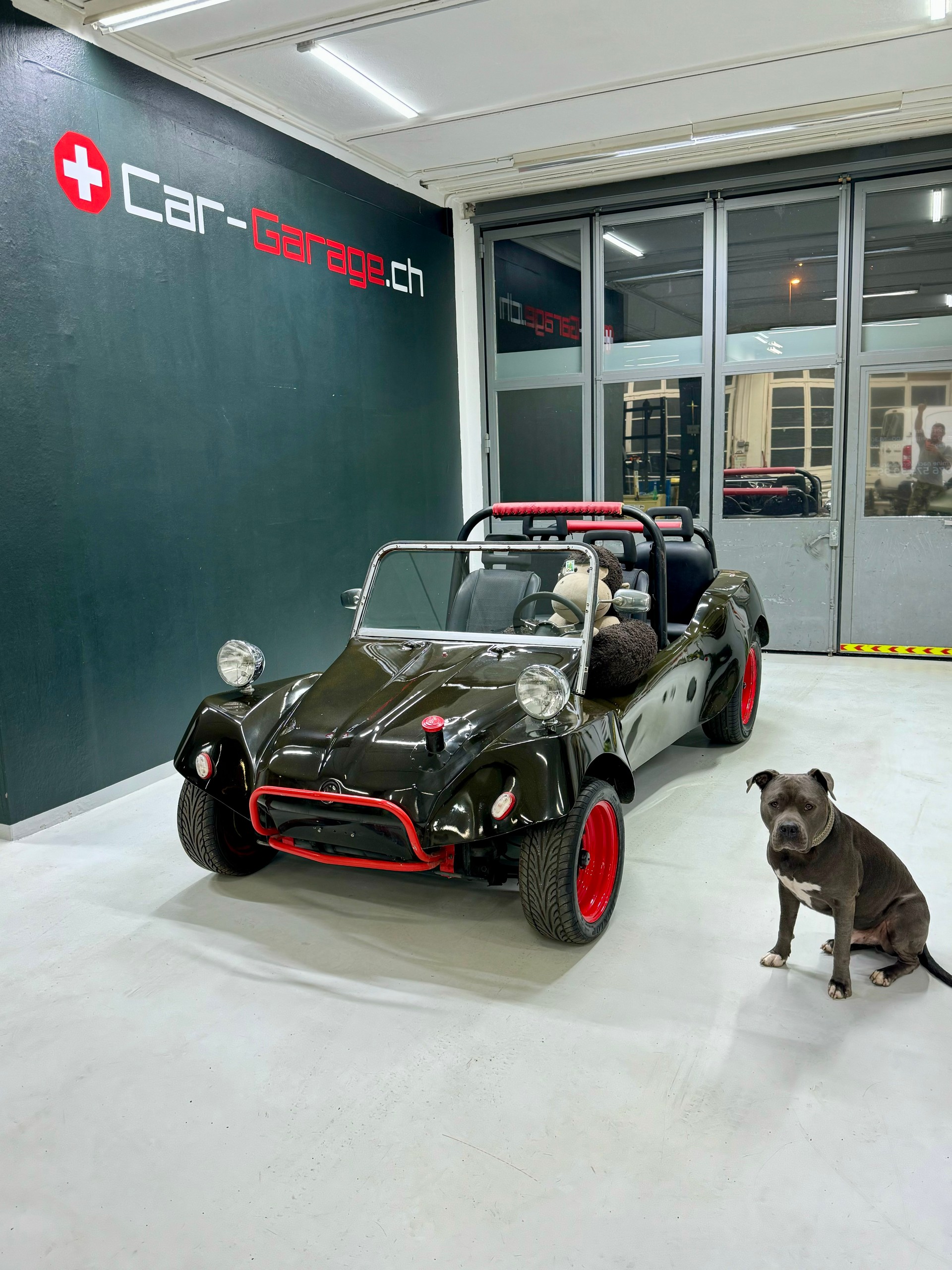 VW Albar