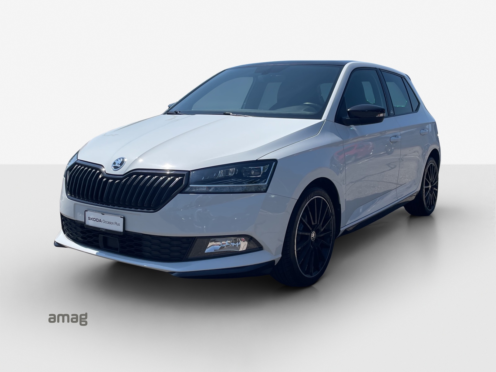 SKODA Fabia 1.0 MPI Monte Carlo