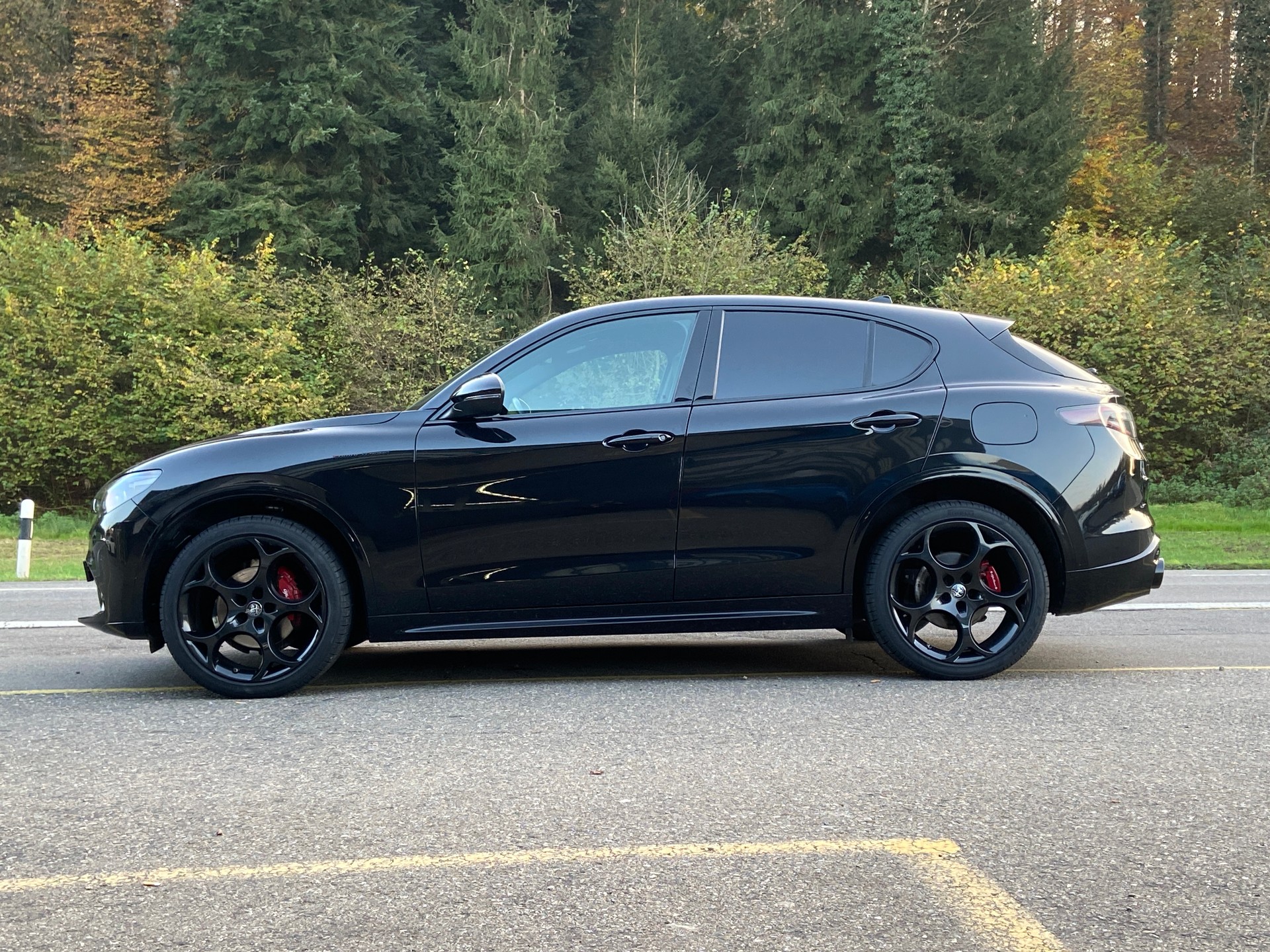 ALFA ROMEO Stelvio 2.0 Competizione Pack Sky Q4 AT8 MY23/24-image-24