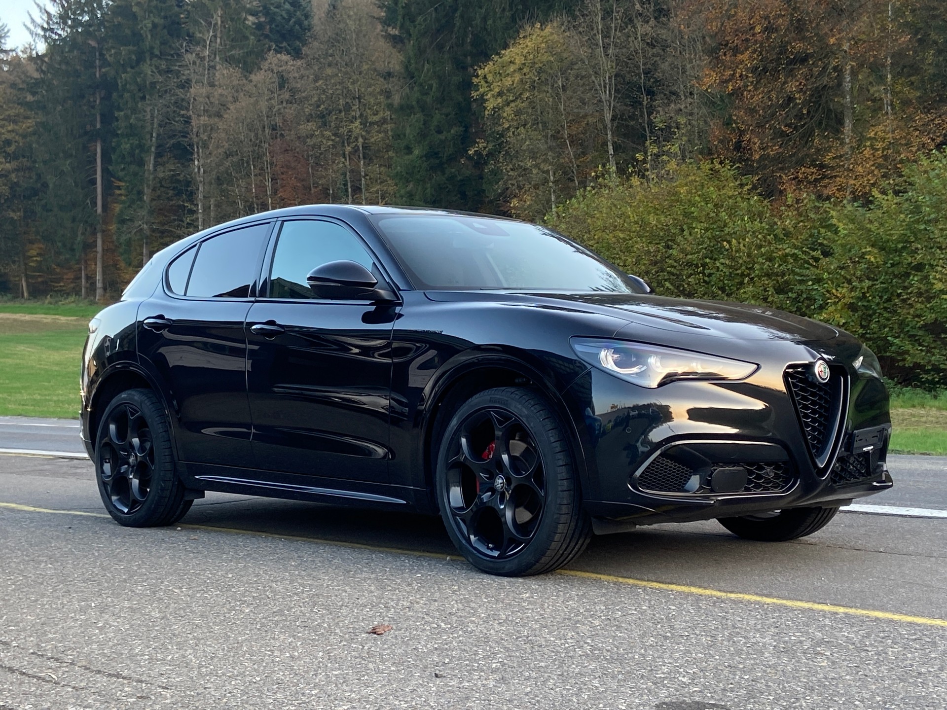 ALFA ROMEO Stelvio 2.0 Competizione Pack Sky Q4 AT8 MY23/24-image-23