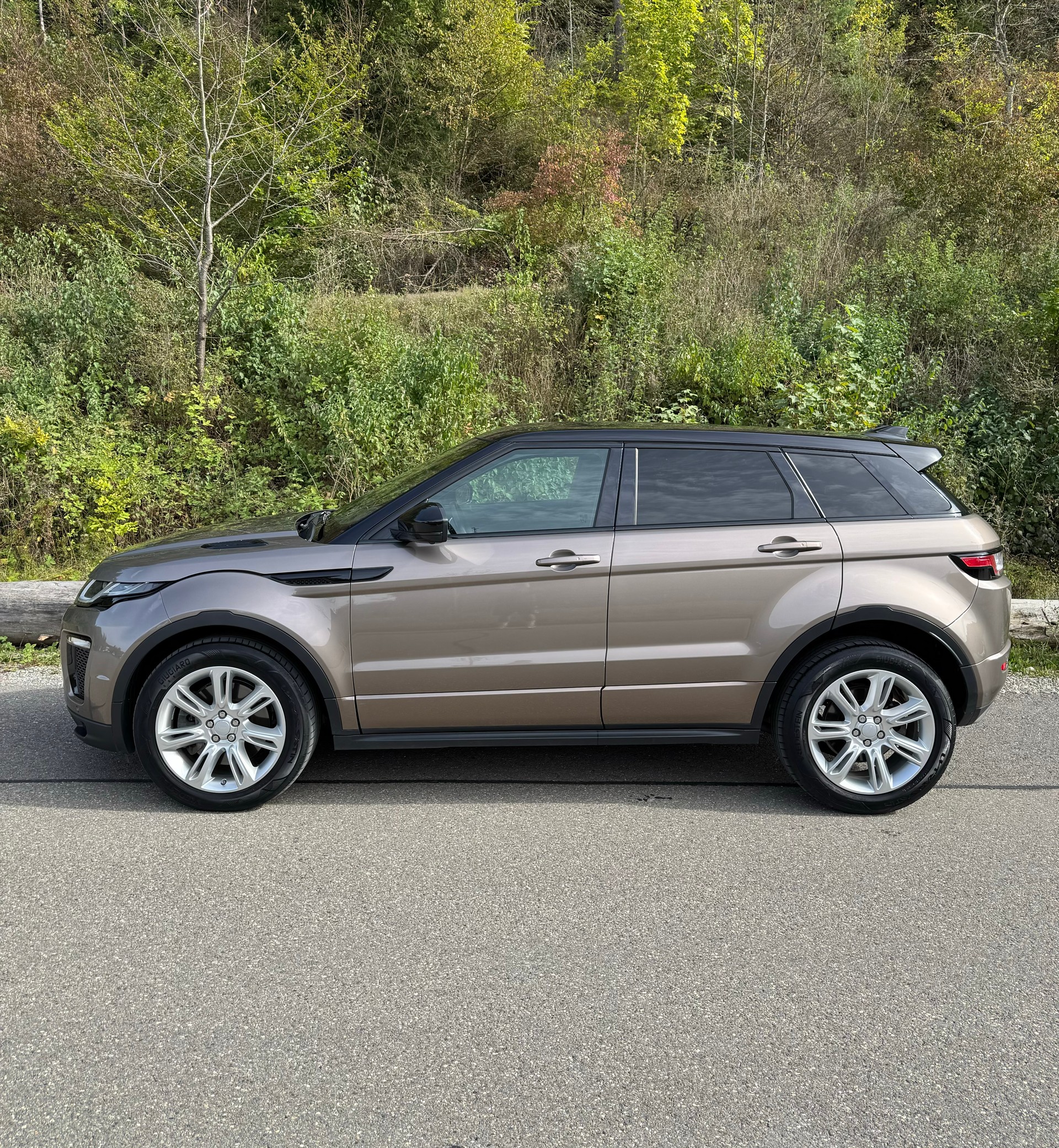 LAND ROVER Range Rover Evoque 2.0 SD4 SE Dynamic AT9 Kaufen