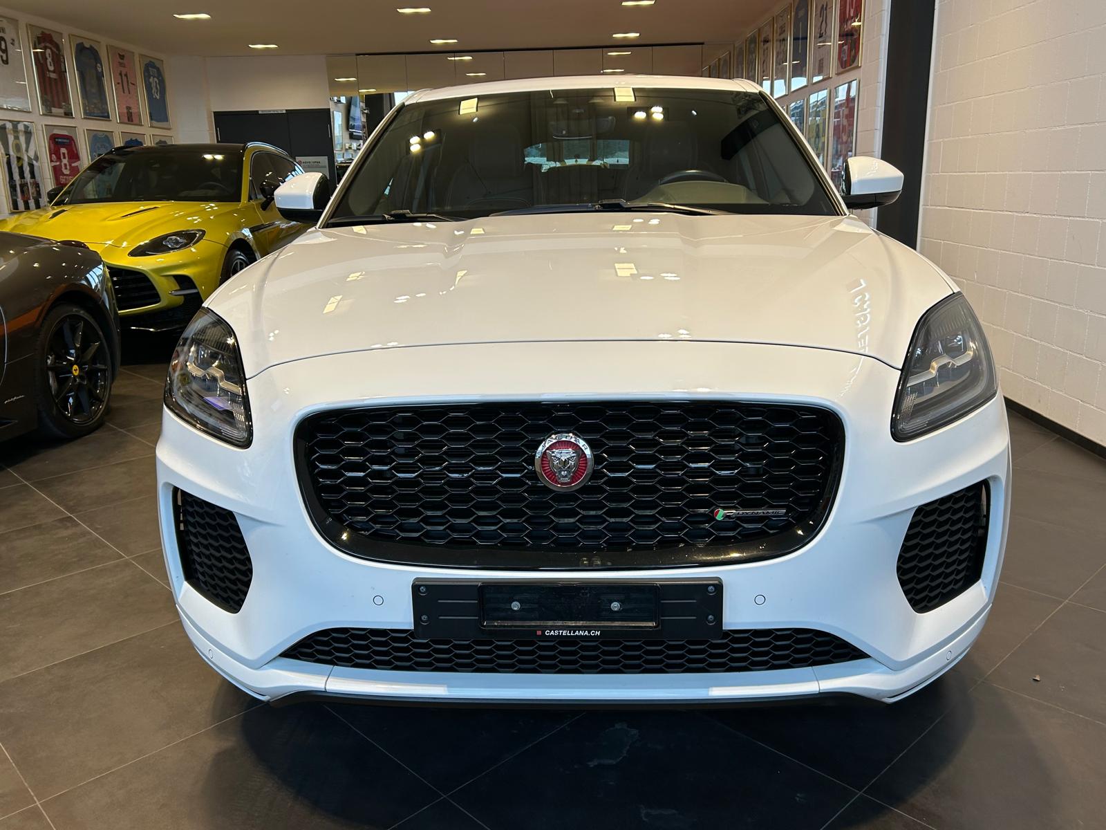 JAGUAR E-Pace D150 R-Dynamic AWD-showroom-element-2