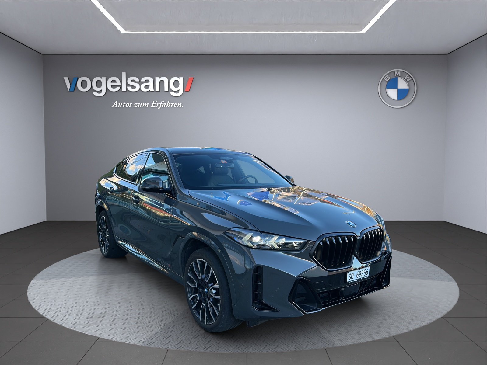 BMW X6 xDrive (SUV / GelÃ¤ndewagen)
