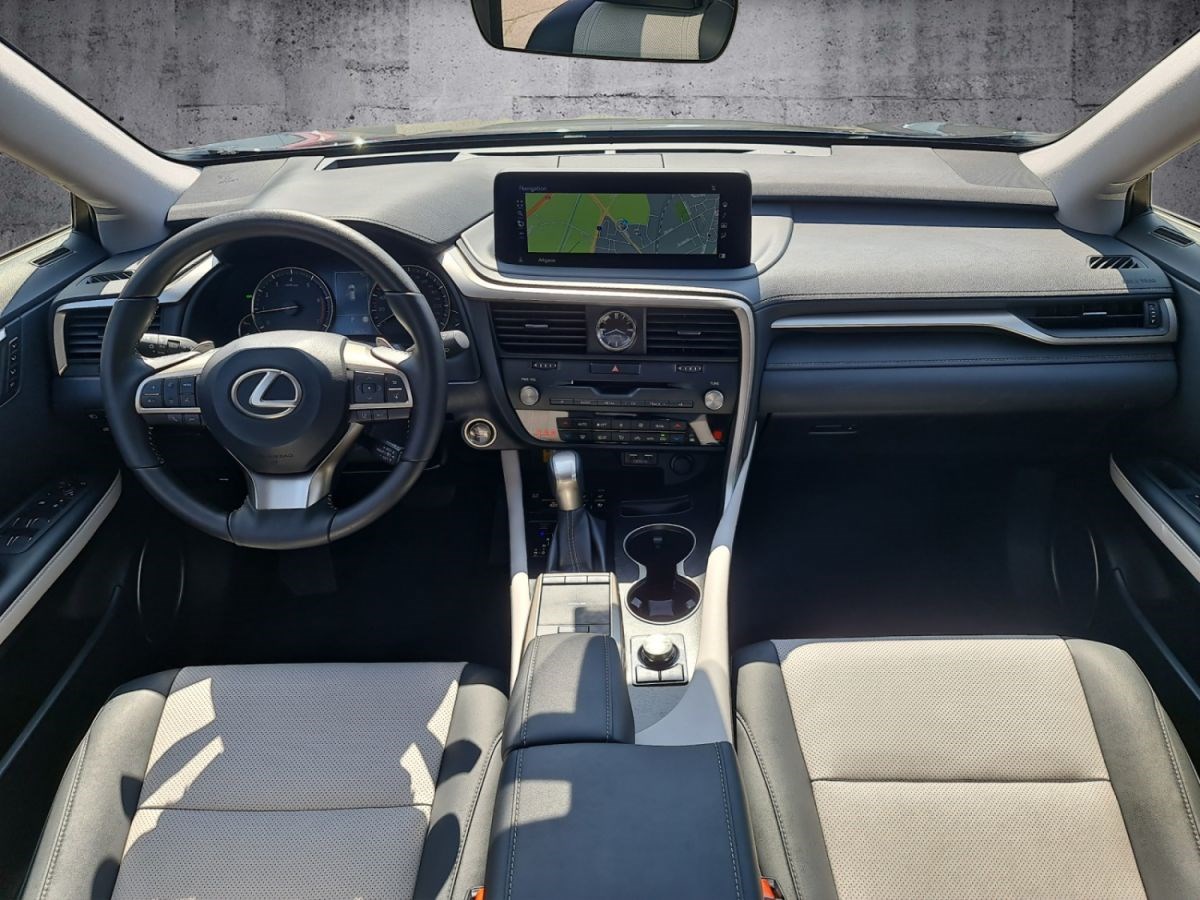LEXUS RX 300 AWD Special Edition-image-9