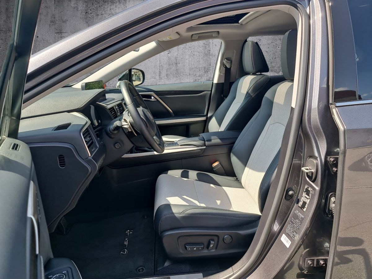 LEXUS RX 300 AWD Special Edition-image-10