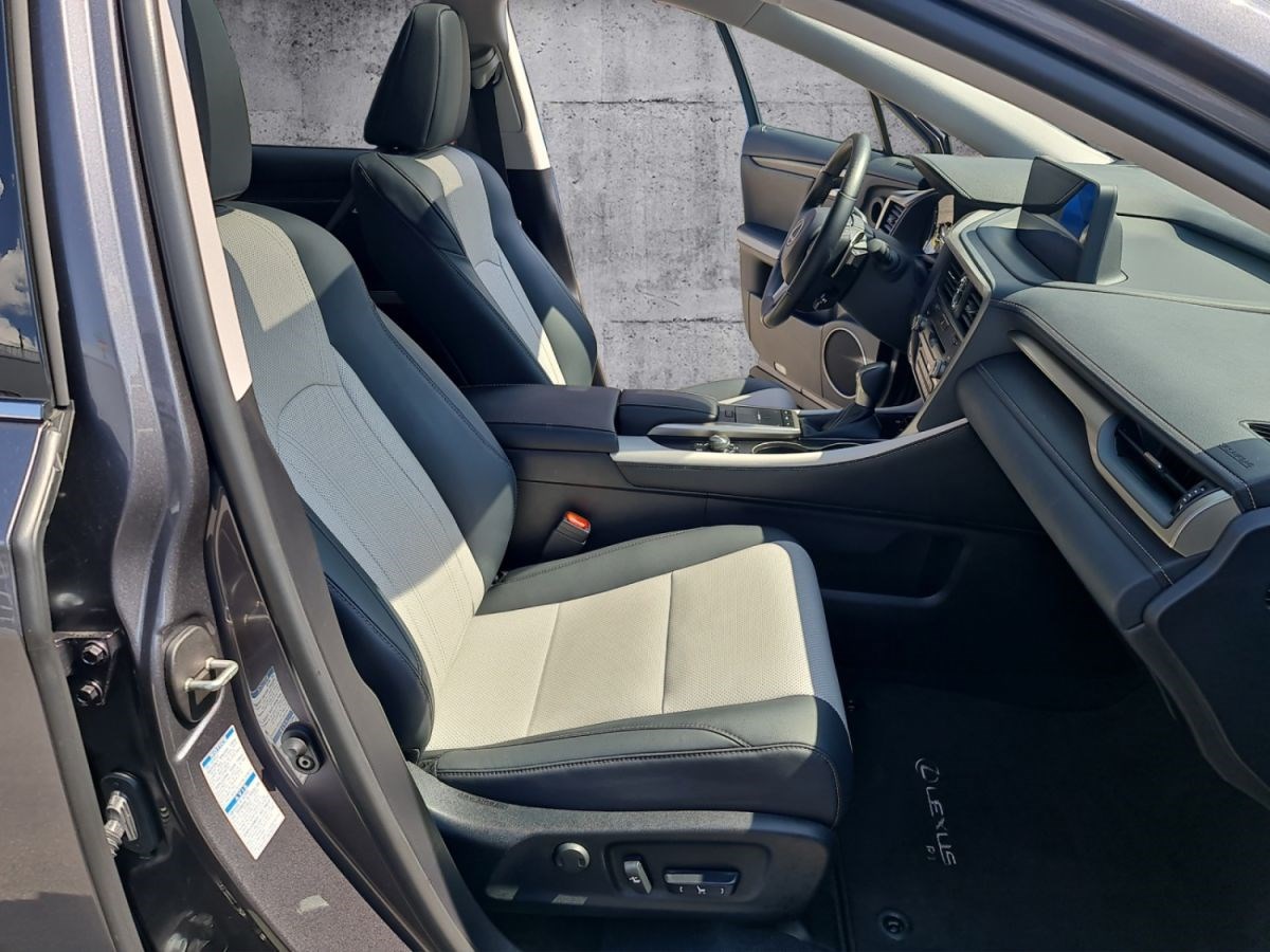 LEXUS RX 300 AWD Special Edition-image-11
