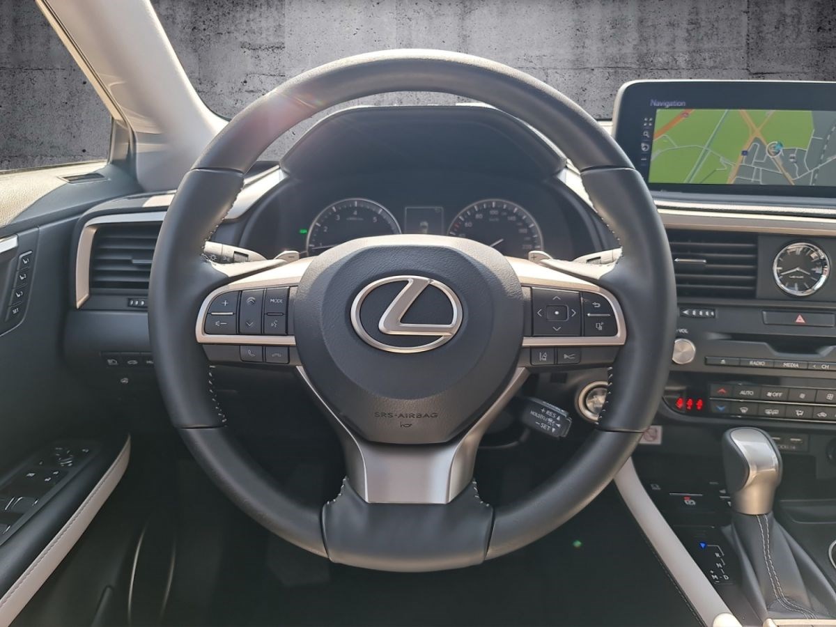 LEXUS RX 300 AWD Special Edition-image-12