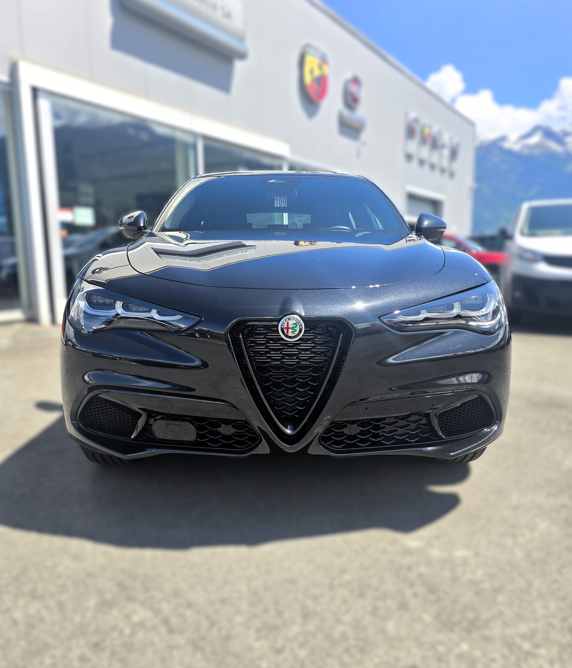 ALFA ROMEO Stelvio 2.0 Sprint Edition Q4 AT8-image-7