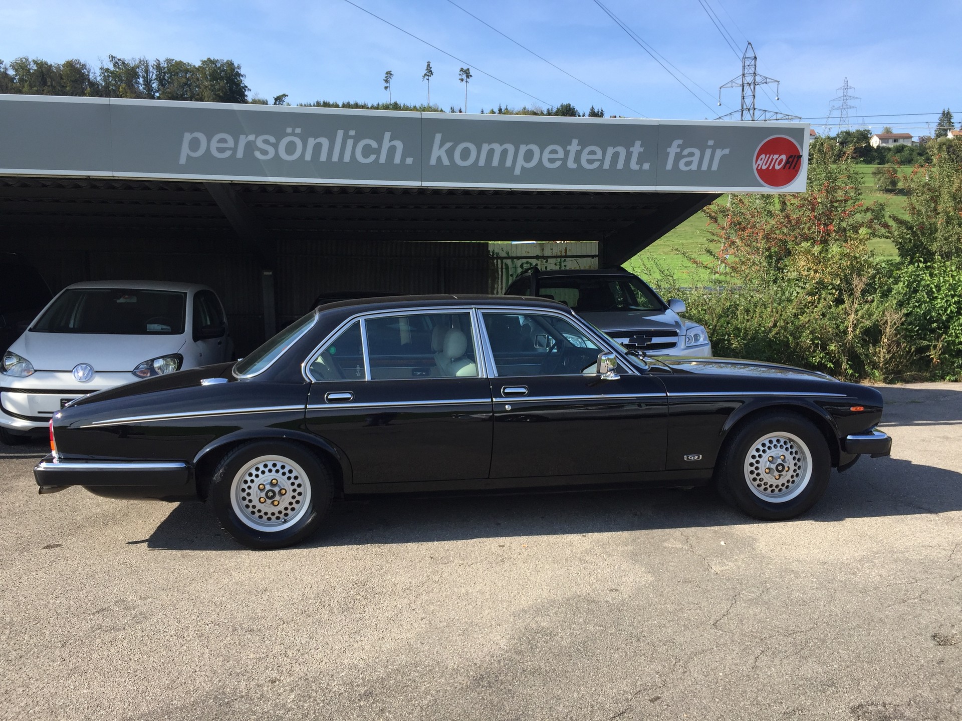 DAIMLER 5.3 Double Six-image-2
