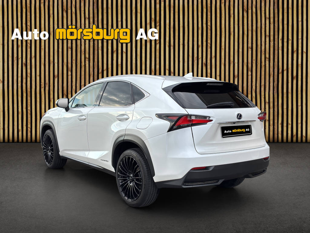 LEXUS NX 300h Impression-showroom-element-3