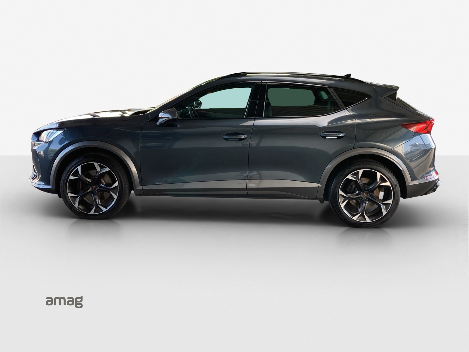 CUPRA Formentor 2.0TSI Tribe Edition 4Drive DSG-showroom-element-1
