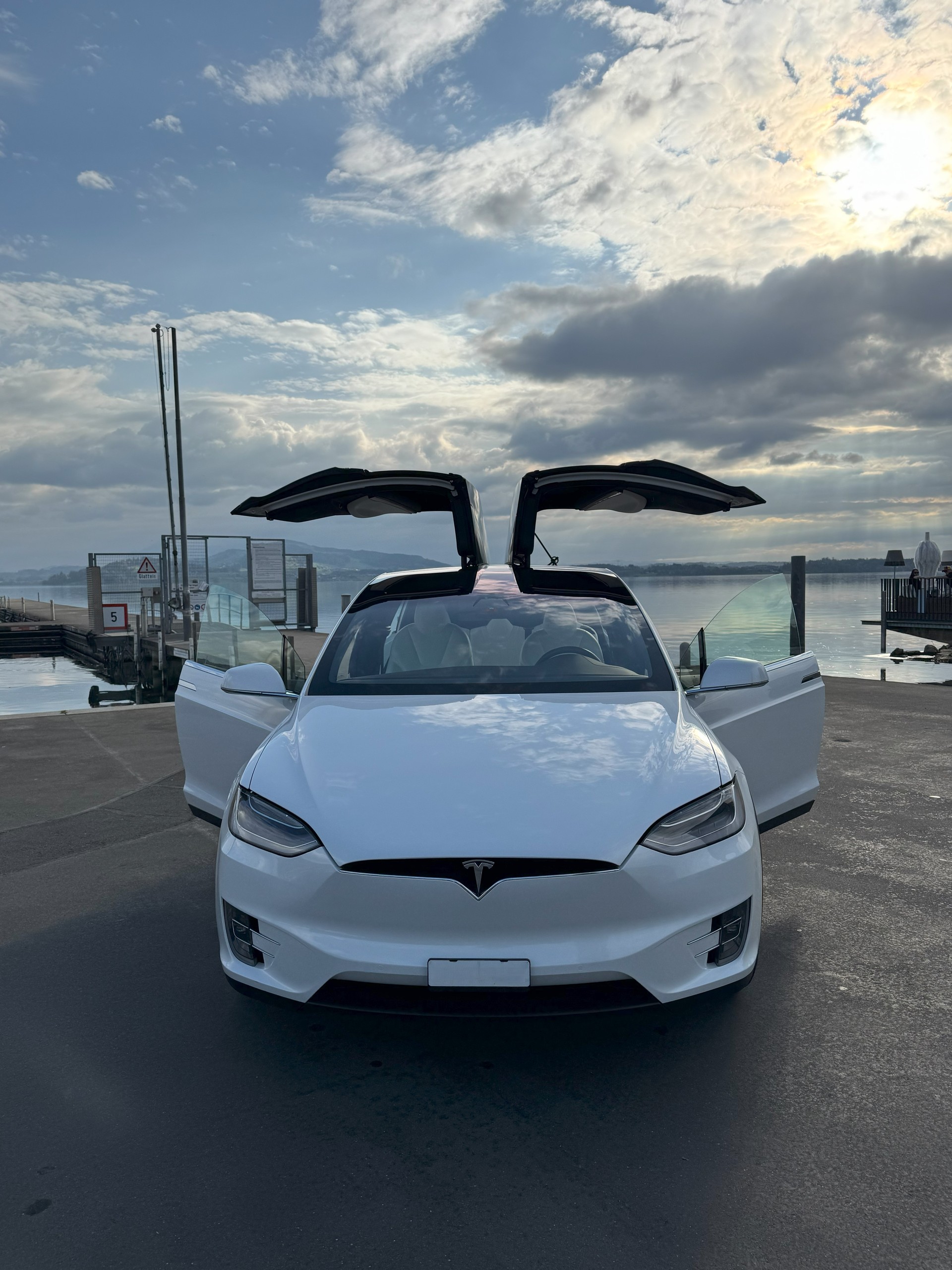 TESLA Model X Maximale-Reichweite, RAVEN