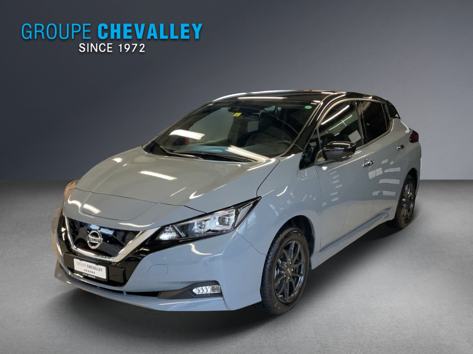 Photo NISSAN LEAF Leaf e+ Tekna(incl. batt)