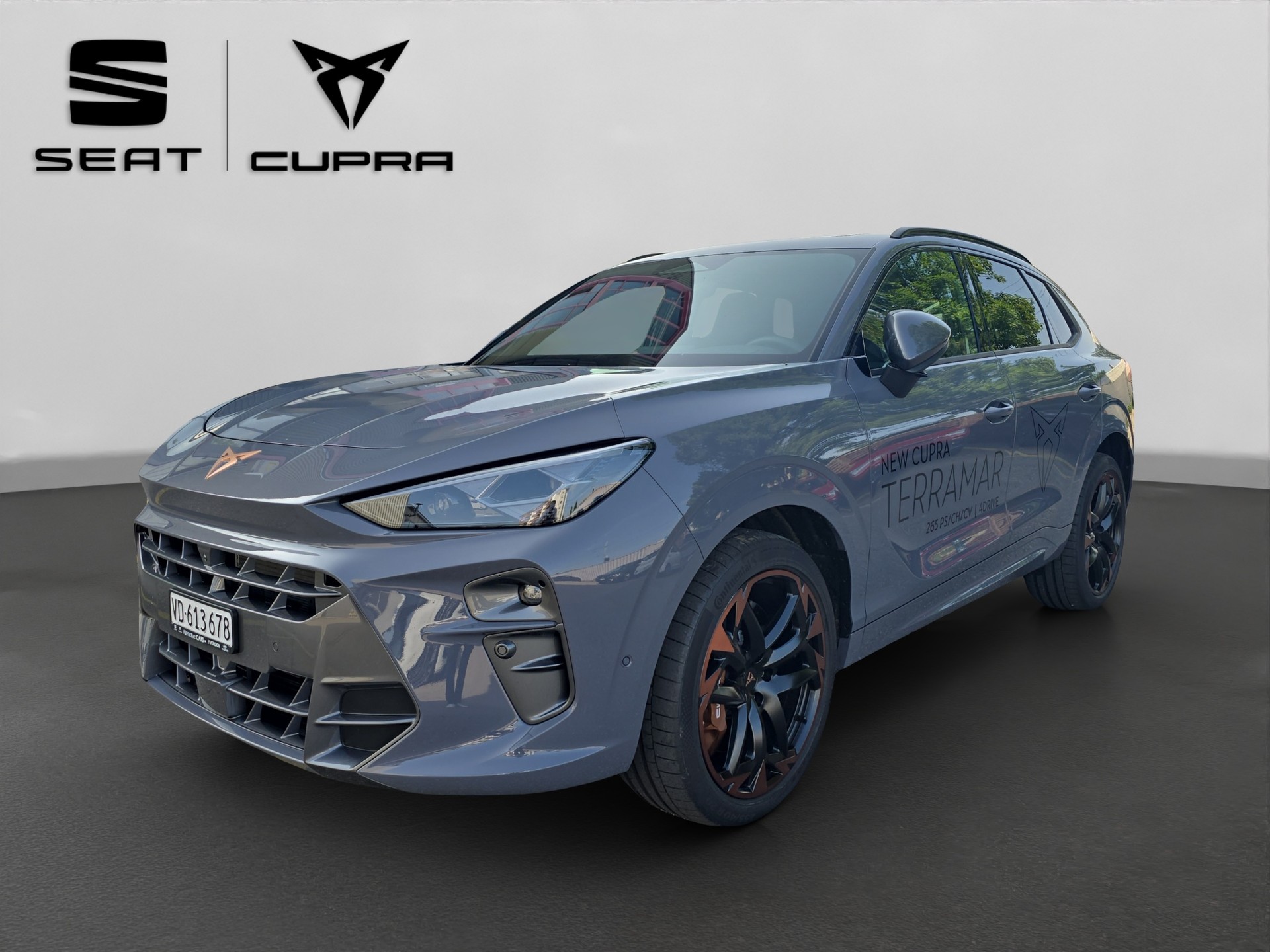 CUPRA Terramar 2.0 TSI DSG 4Drive VZ