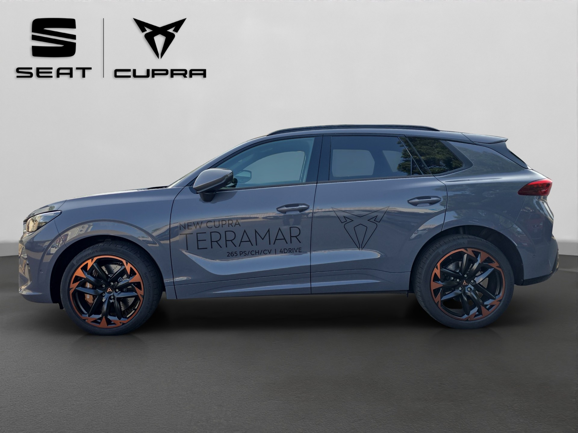 CUPRA Terramar 2.0 TSI DSG 4Drive VZ-showroom-element-2