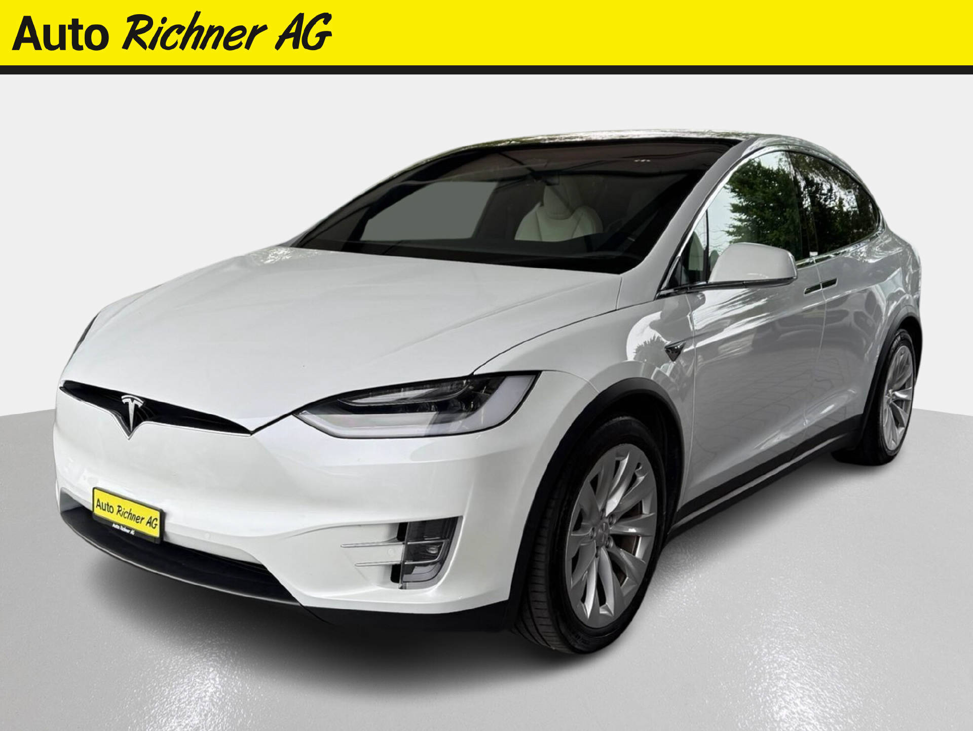 TESLA Model X Long Range-showroom-element-1