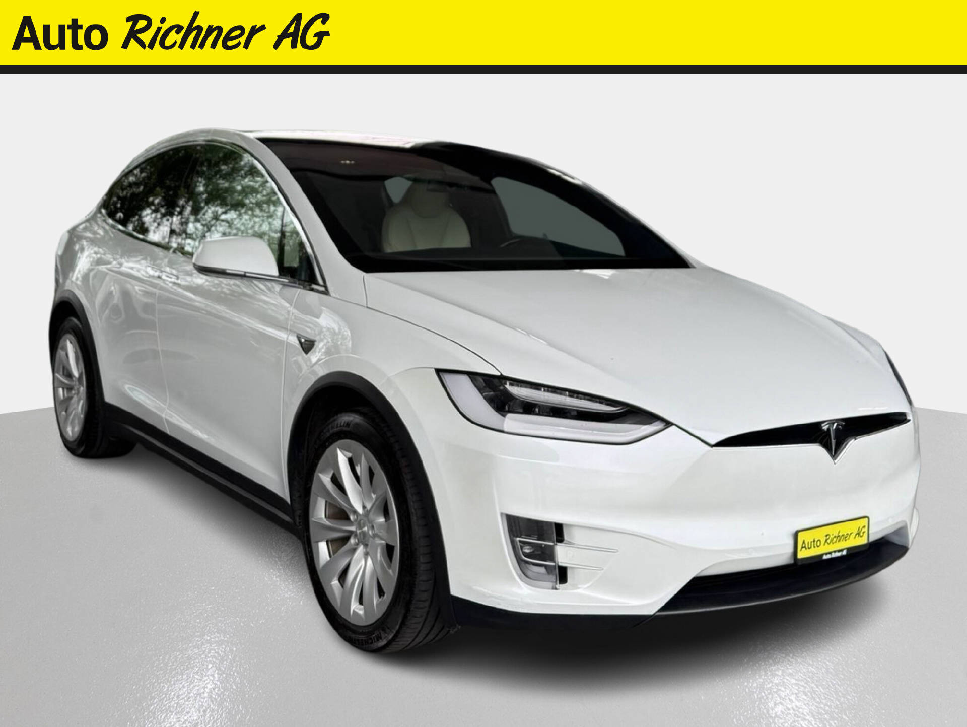 TESLA Model X Long Range