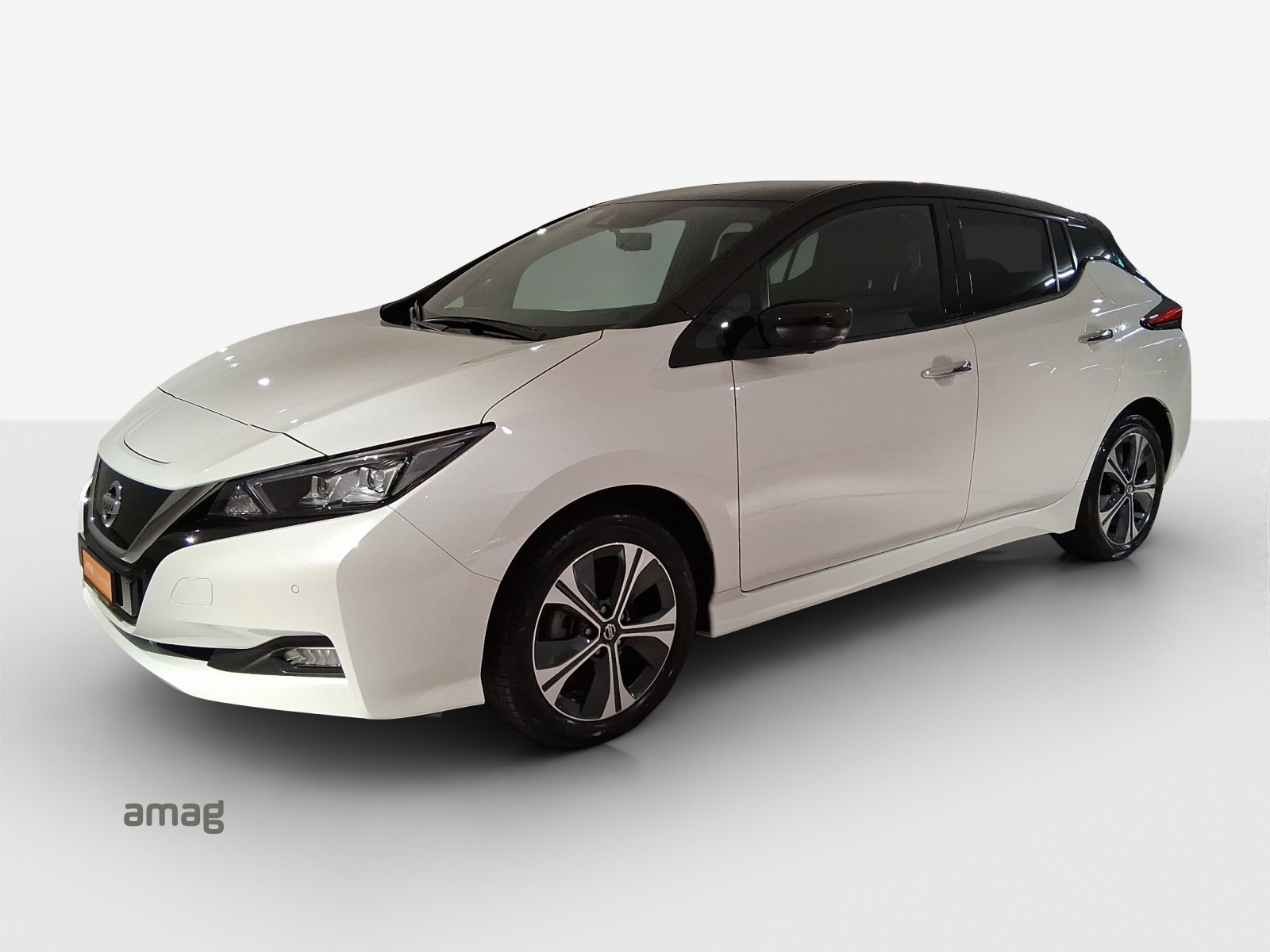 NISSAN Leaf e+ N-Connecta (incl. battery)