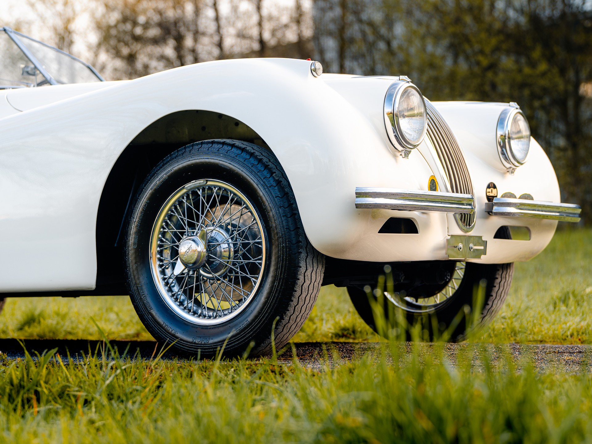 JAGUAR Roadster-showroom-element-3
