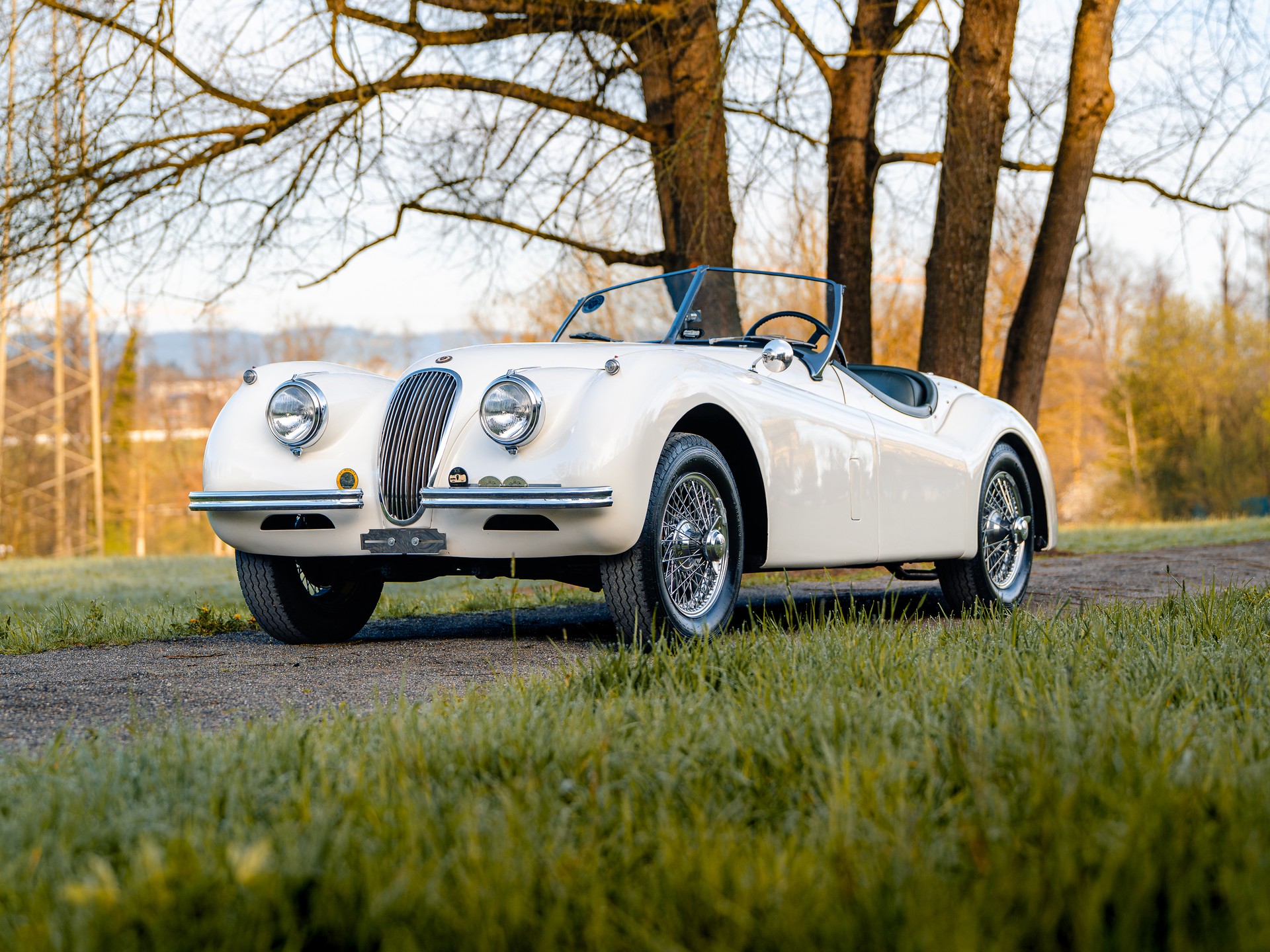 JAGUAR Roadster