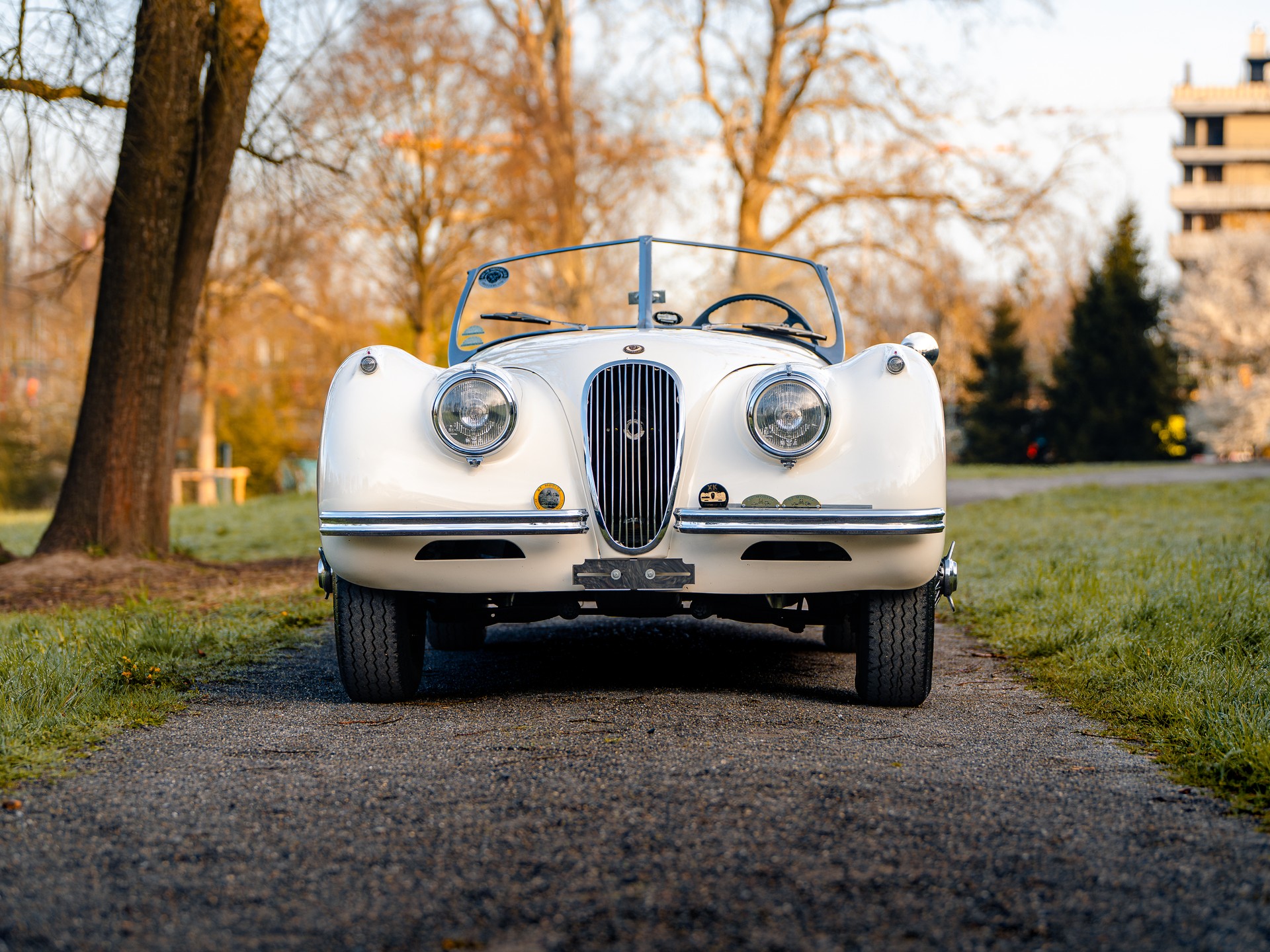 JAGUAR Roadster-showroom-element-1