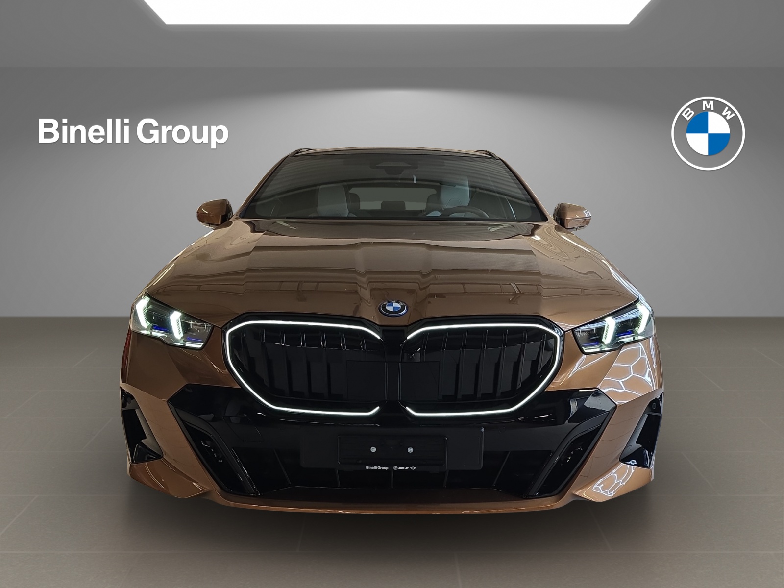BMW 550e xDrive Touring M Sport Pro Steptronic-showroom-element-1