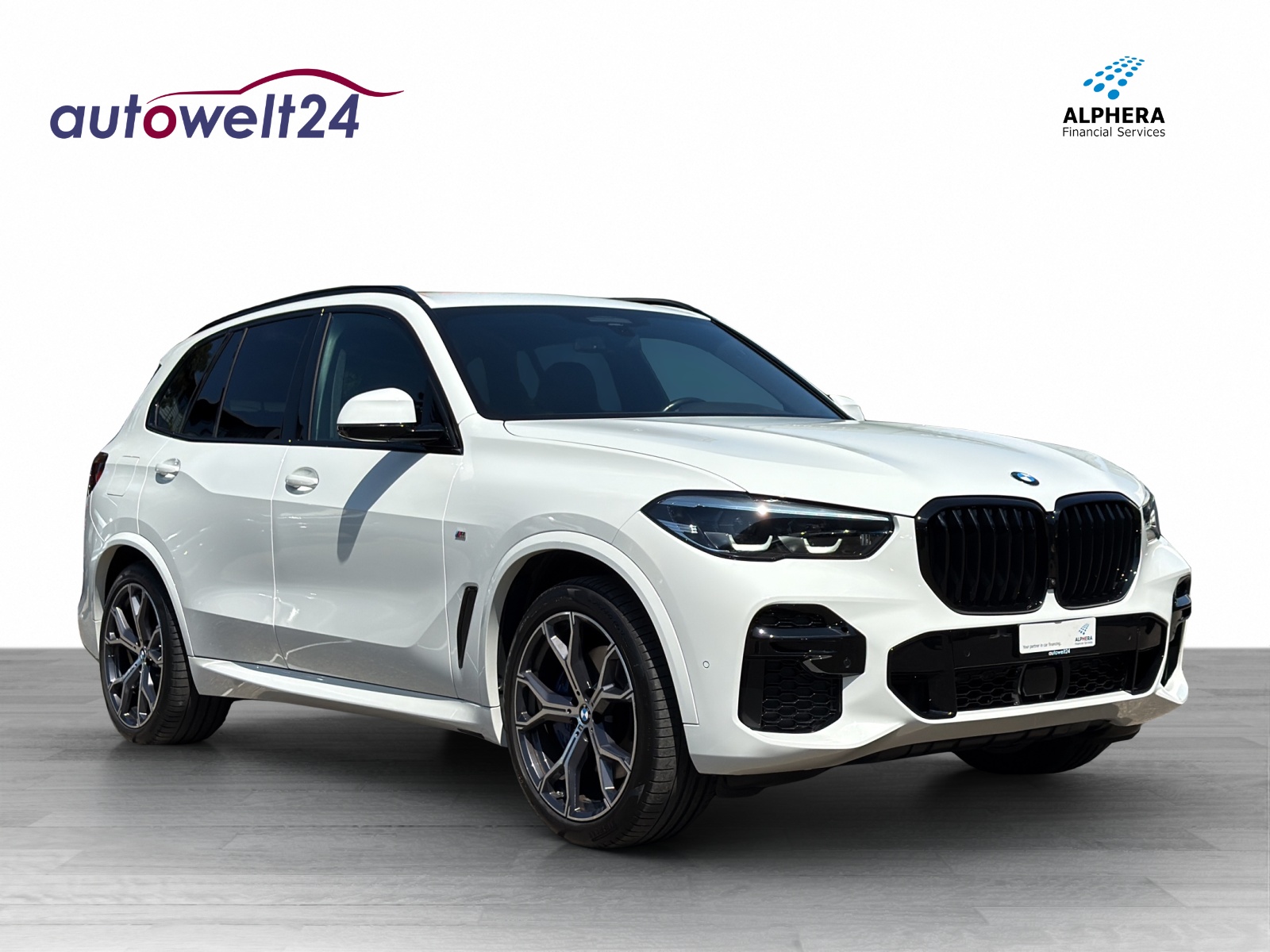 BMW X5 xDrive 48V 30d M Sport Steptronic-showroom-element-2
