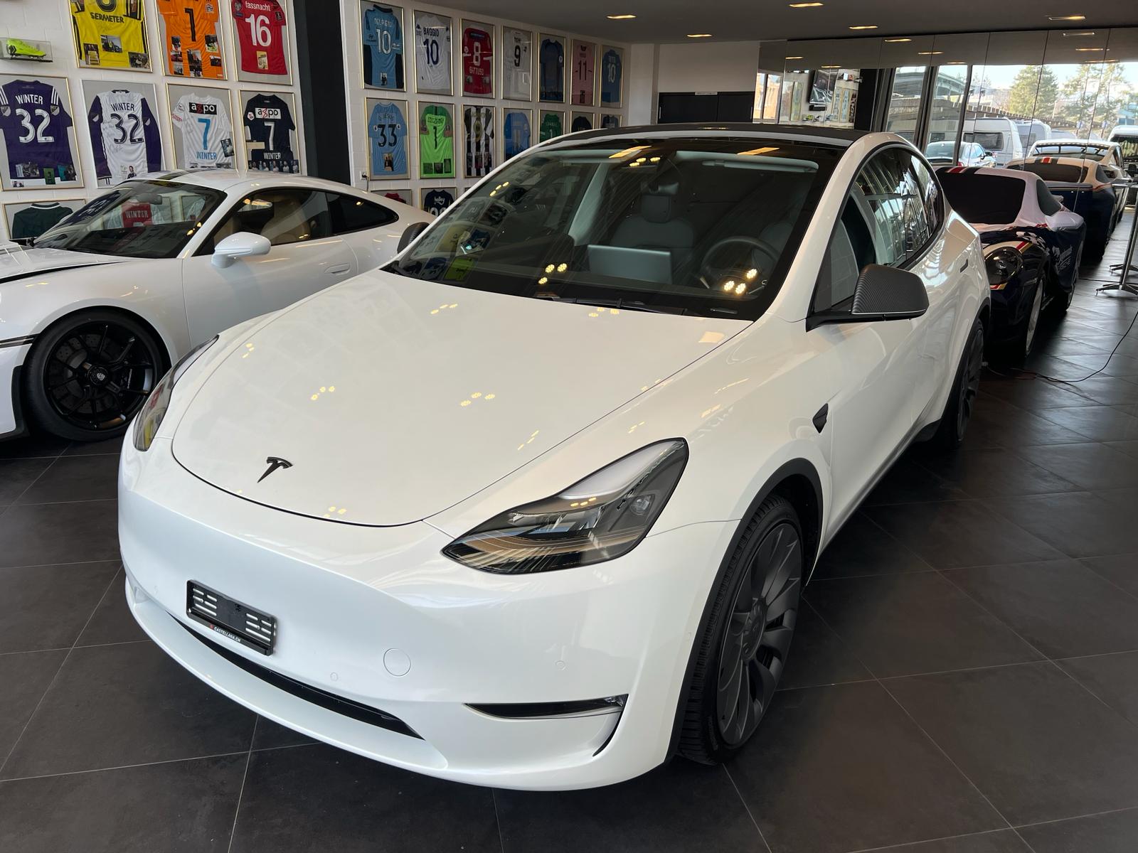 TESLA Model Y Performance-showroom-element-2