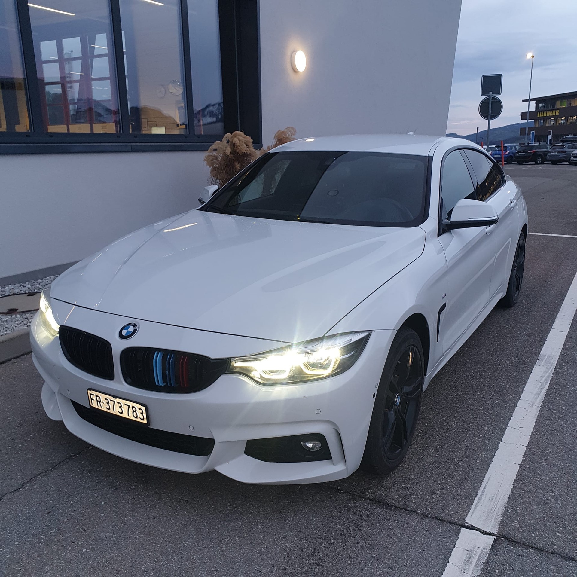BMW 420d Gran Coupé xDrive M Sport Individual Steptronic
