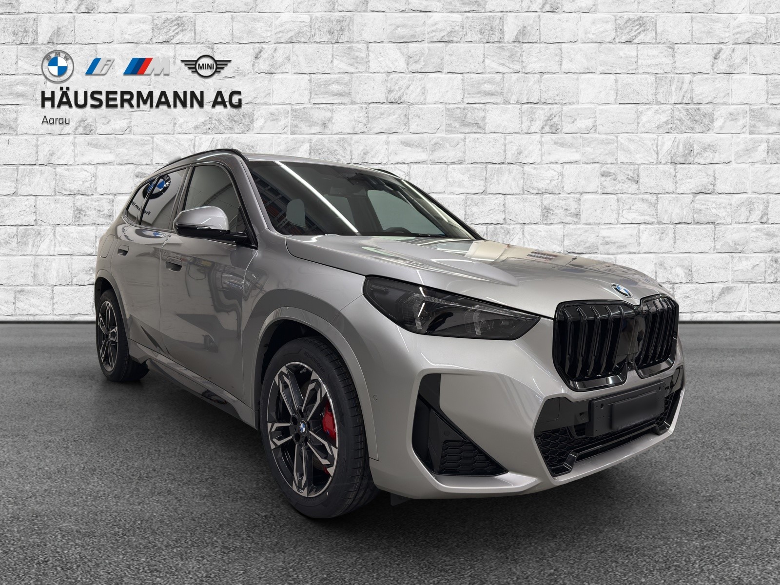 BMW X1 xDrive 20d (SUV / GelÃ¤ndewagen) 